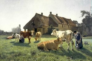 Egy farm Venoixban